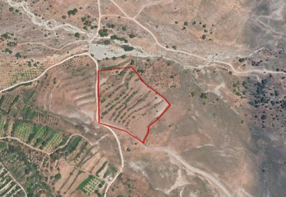 Kelokedara, Paphos Agricultural Land For Sale | C2675