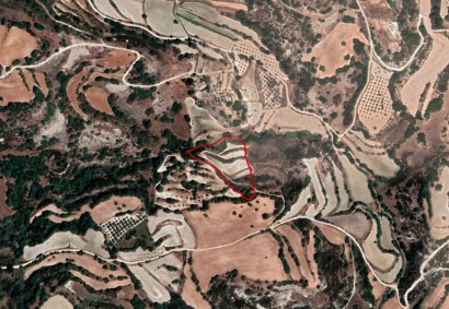 Polemi, Paphos Agricultural Land For Sale | C2693