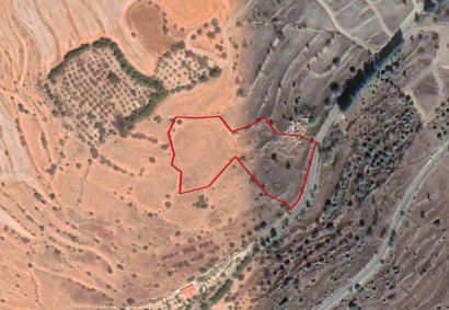 Pentalia, Paphos Agricultural Land For Sale | C2703