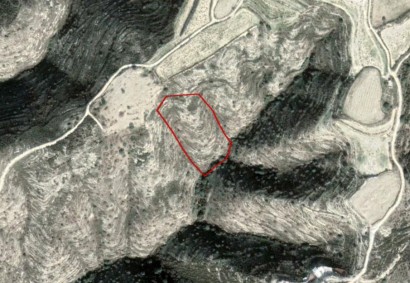 Akoursos, Paphos Agricultural Land For Sale | C2712