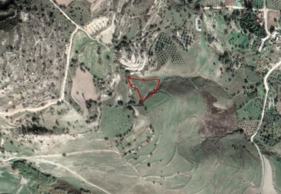 Kannaviou, Paphos Agricultural Land For Sale | C2736