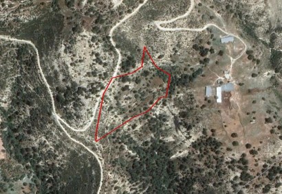 Mousere, Paphos Agricultural Land For Sale | C2737