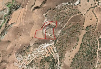 Nata, Paphos Agricultural Land For Sale | C2738