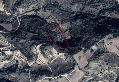 Lemona, Paphos Agricultural Land For Sale | C2786
