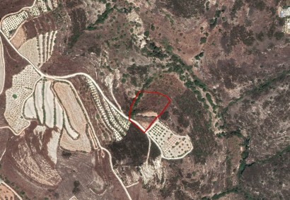 Tsada, Paphos Agricultural Land For Sale | C2794