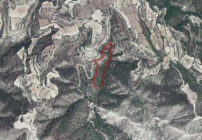 Amargeti, Paphos Agricultural Land For Sale | C2838