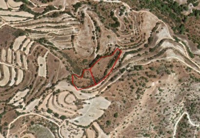 Amargeti, Paphos Agricultural Land For Sale | C2847