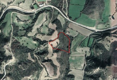 Chrysochou, Paphos Agricultural Land For Sale | C2848
