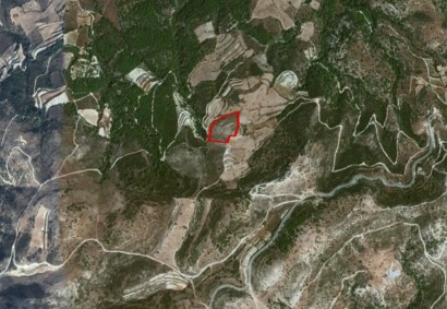 Mousere, Paphos Agricultural Land For Sale | C2860