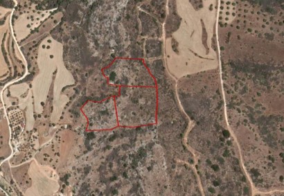 Pelathousa, Paphos Agricultural Land For Sale | C2862