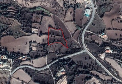 Drymou, Paphos Agricultural Land For Sale | C2869