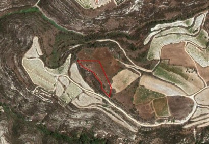 Kathikas, Paphos Agricultural Land For Sale | C2878