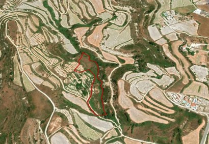 Tsada, Paphos Agricultural Land For Sale | C2879