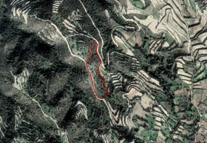 Koili, Paphos Agricultural Land For Sale | C2907