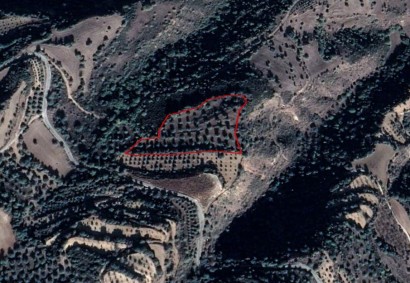 Loukrounou, Paphos Agricultural Land For Sale | C2913