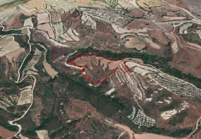 Simou, Paphos Agricultural Land For Sale | C2942