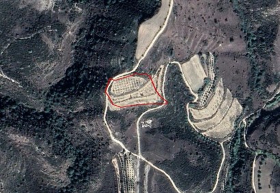 Stroumpi Kato, Paphos Agricultural Land For Sale | C2955