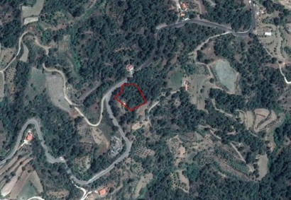 Panagia Pano, Paphos Agricultural Land For Sale | C2964