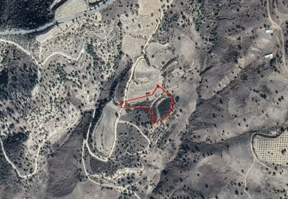 Kelokedara, Paphos Agricultural Land For Sale | C2969