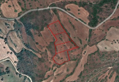 Kritou Tera, Paphos Agricultural Land For Sale | C2972