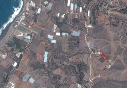 Agia Marina Chrysochous Agricultural Land For Sale | C2977