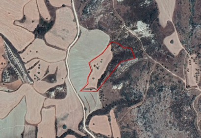 Steni, Paphos Agricultural Land For Sale | C2988