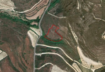 Kathikas, Paphos Agricultural Land For Sale | C3048