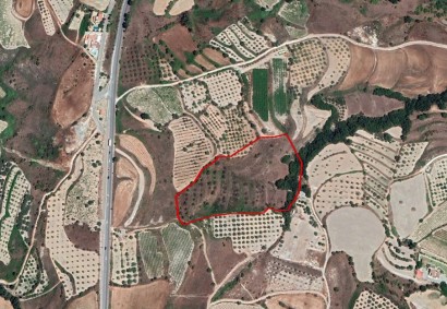 Giolou, Paphos Agricultural Land For Sale | C3050