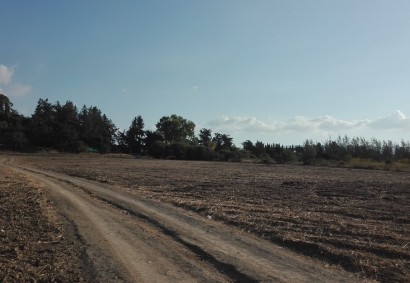 Polis Chrysochous Agricultural Land For Sale | C3052