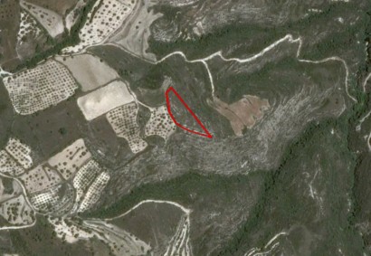 Kritou Tera, Paphos Agricultural Land For Sale | C3054