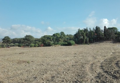 Polis Chrysochous Agricultural Land For Sale | C3059