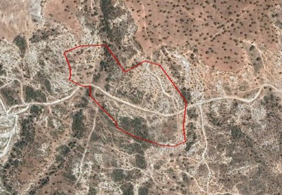 Pissouri, Limassol Agricultural Land For Sale | C3078