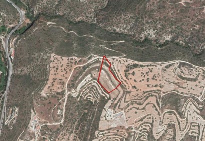 Paramytha, Limassol Agricultural Land For Sale | C3123