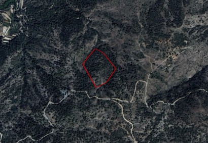 Louvaras, Limassol Agricultural Land For Sale | C3138