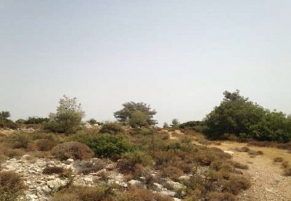 Kivides Pano, Limassol Agricultural Land For Sale | C3173