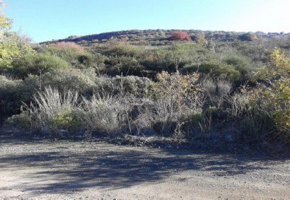 Laneia, Limassol Agricultural Land For Sale | C3221