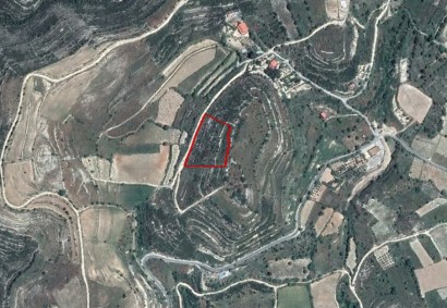 Vasa Koilaniou, Limassol Agricultural Land For Sale | C3280