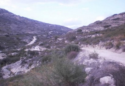 Fasoula Lemesou Agricultural Land For Sale | C3311