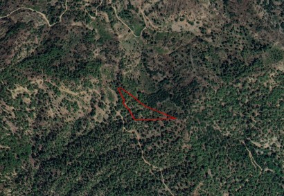 Kaminaria, Limassol Agricultural Land For Sale | C3326