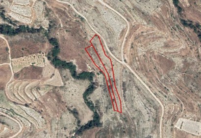 Pachna, Limassol Agricultural Land For Sale | C3336