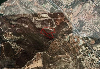 Alassa, Limassol Touristic Land For Sale | C3354