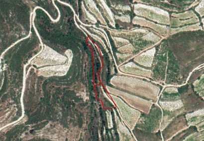 Koilani, Limassol Agricultural Land For Sale | C3362