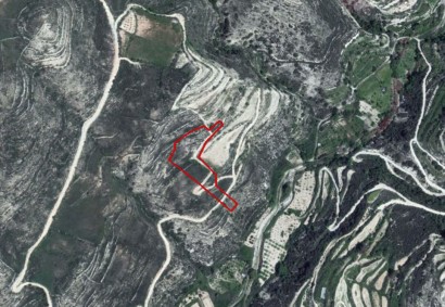 Vouni, Limassol Agricultural Land For Sale | C3377