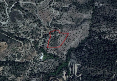 Louvaras, Limassol Agricultural Land For Sale | C3385