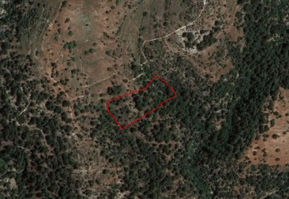 Dora, Limassol Agricultural Land For Sale | C3393
