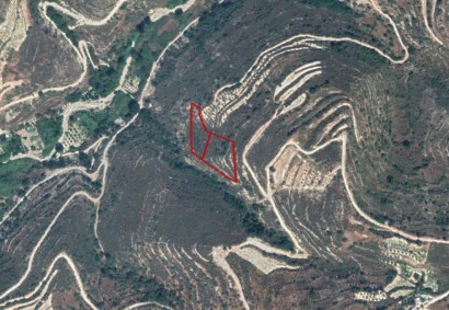 Agios Therapon, Limassol Agricultural Land For Sale | C3410