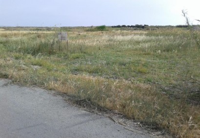 Akrotiri, Limassol Agricultural Land For Sale | C3476