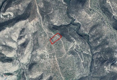 Prastio Avdimou Agricultural Land For Sale | C3481