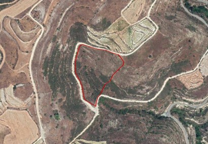 Arsos Lemesou, Limassol Agricultural Land For Sale | C3503