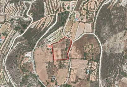 Doros, Limassol Agricultural Land For Sale | C3504